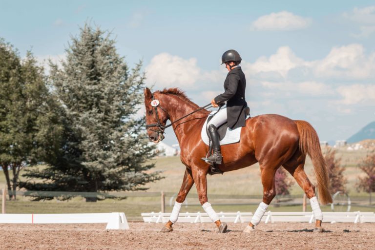 Horse Farm Listing 05 768x512