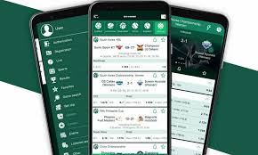 BetWinner Ukraine Your Guide to Online Betting