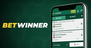 Understanding BetWinner Withdrawals A Comprehensive Guide -837505198